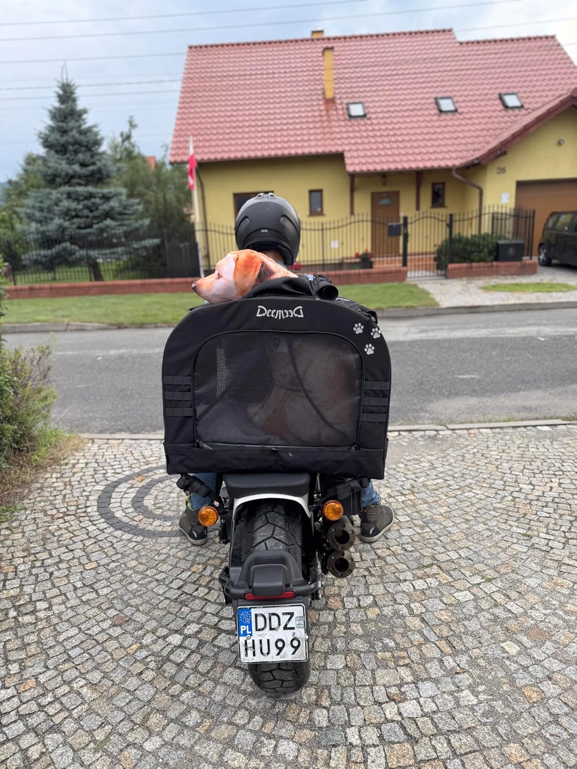 Motorrad-Haustiertasche für Hunde und Katzen, XL (bis zu 36 kg)