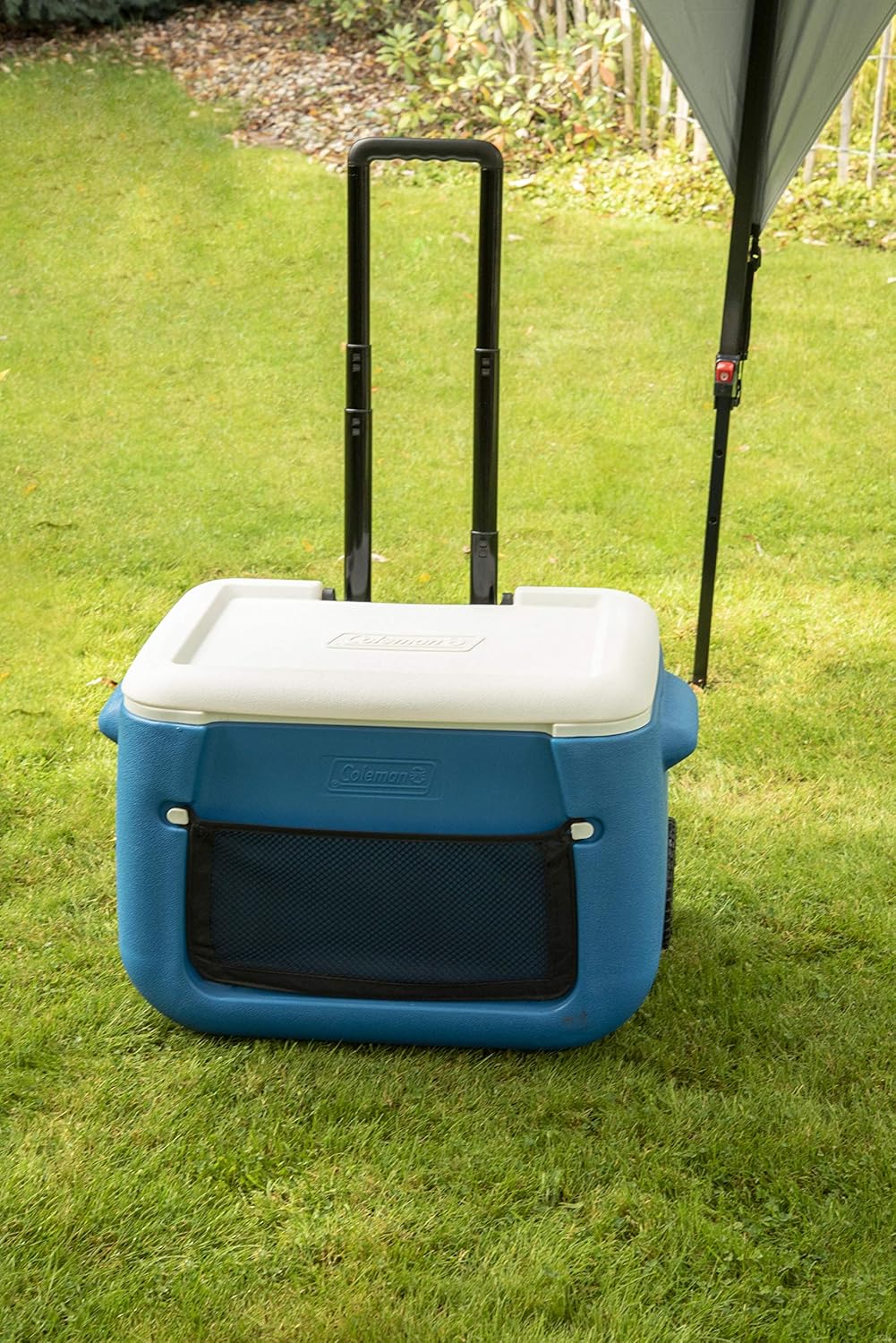 50QT Poly-lite
