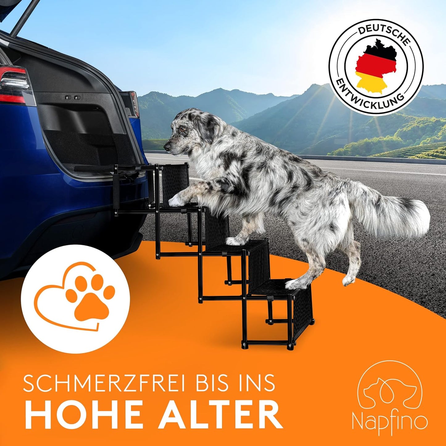 Hundetreppe