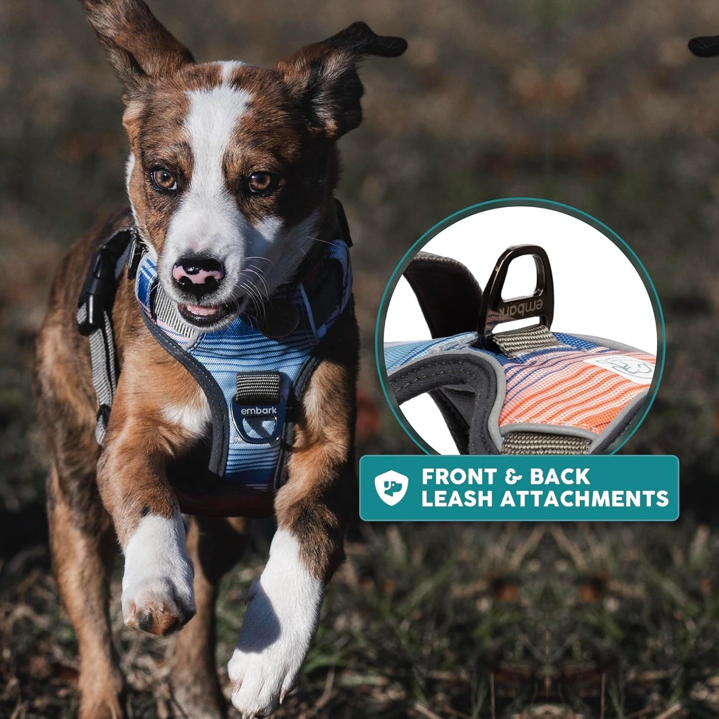 Urban Hundegeschirr mit Führungsgriff, Santa Monica / Medium