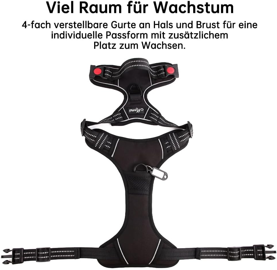 Hundegeschirr-Set inkl. Leine mit Reflexstreifen, M