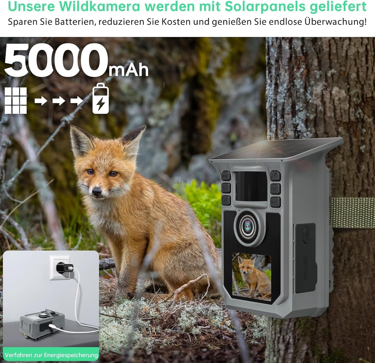 4K Wildkamera mit Bewegungsmelder und Nachtsicht