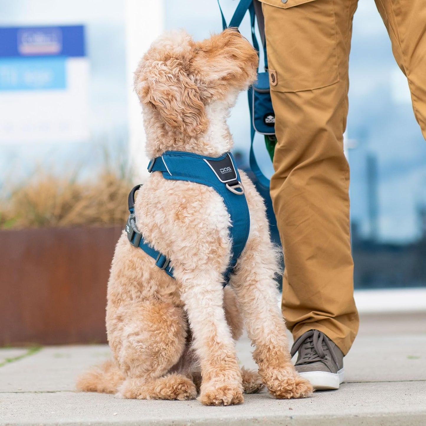 Comfort Walk Pro Hundegeschirr, L Ocean Blue