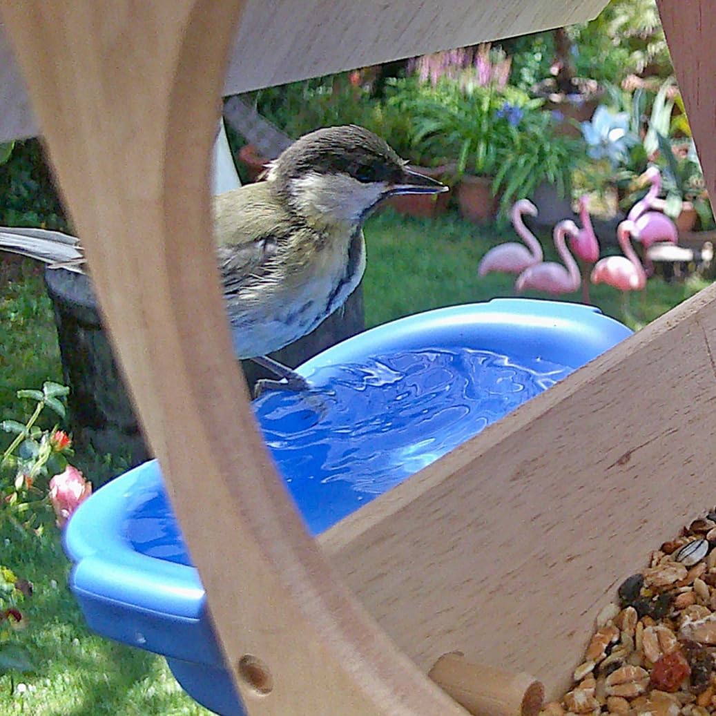 Vogelhaus mit Kamera und Tränke