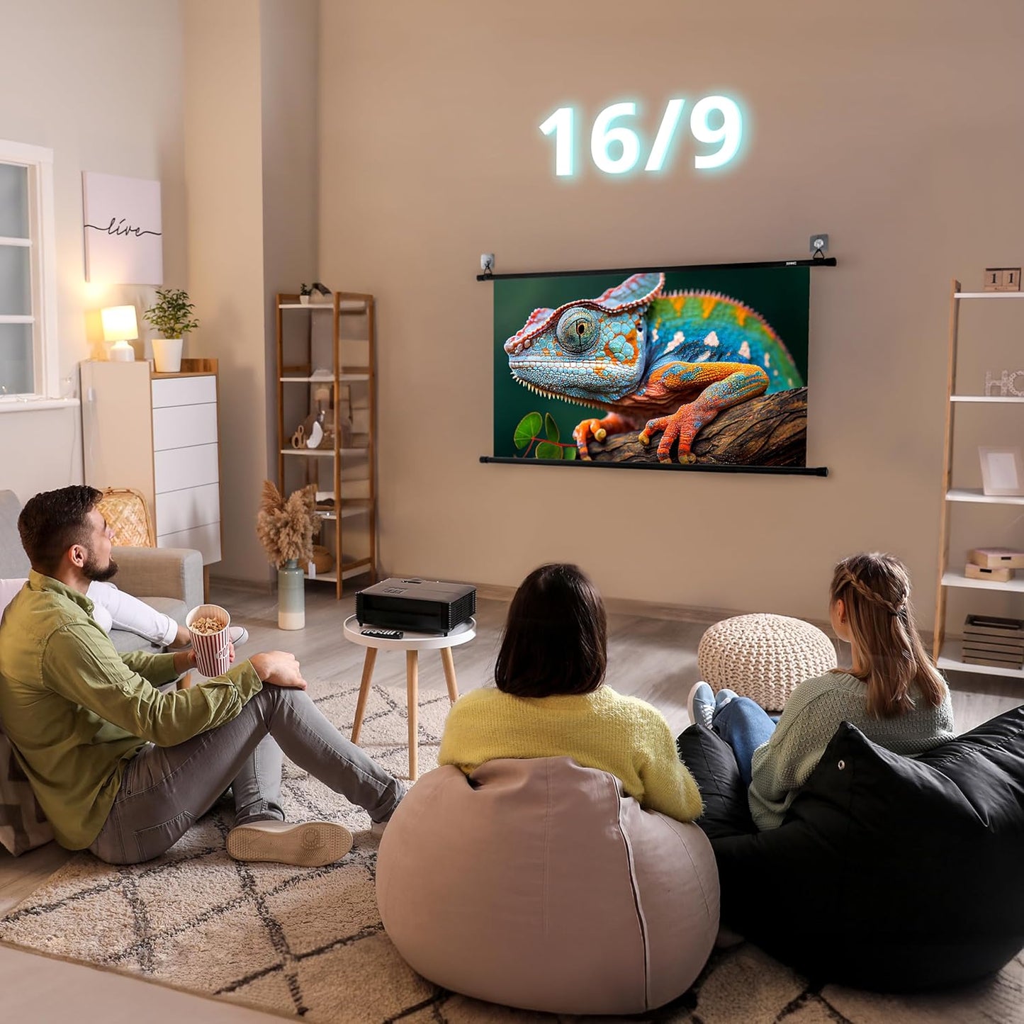 Projektorleinwand BPS40 für Heimkino, BPS40