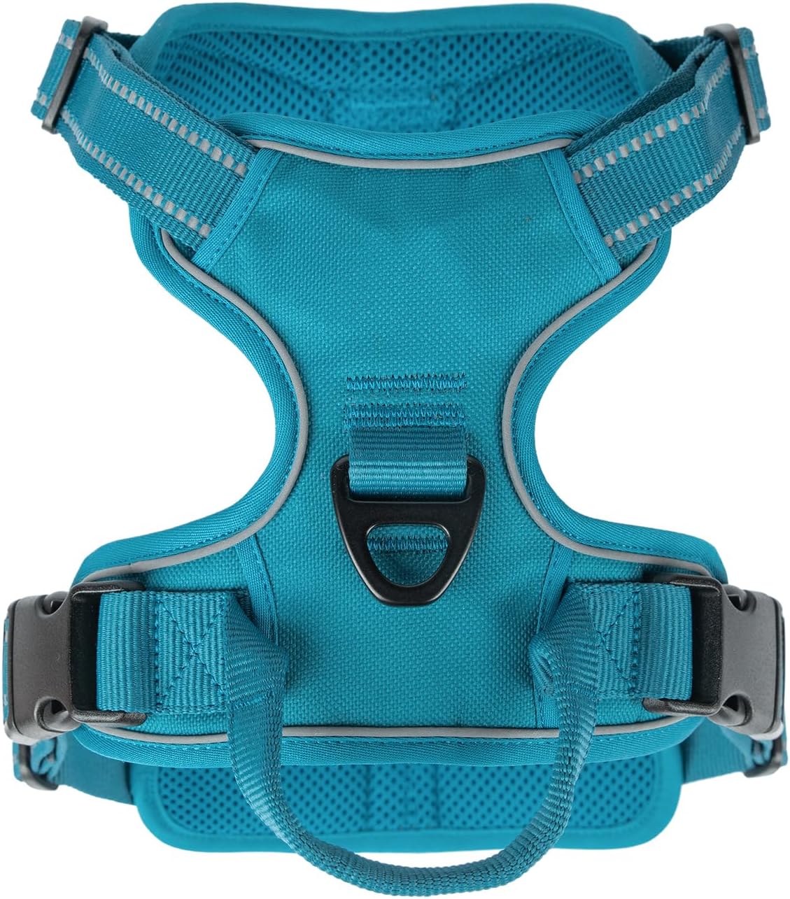 Verstellbares Hundegeschirr mit Reflektoren, S (Chest: 16 - 20") Geschirr (türkisfarbenes Nylon)
