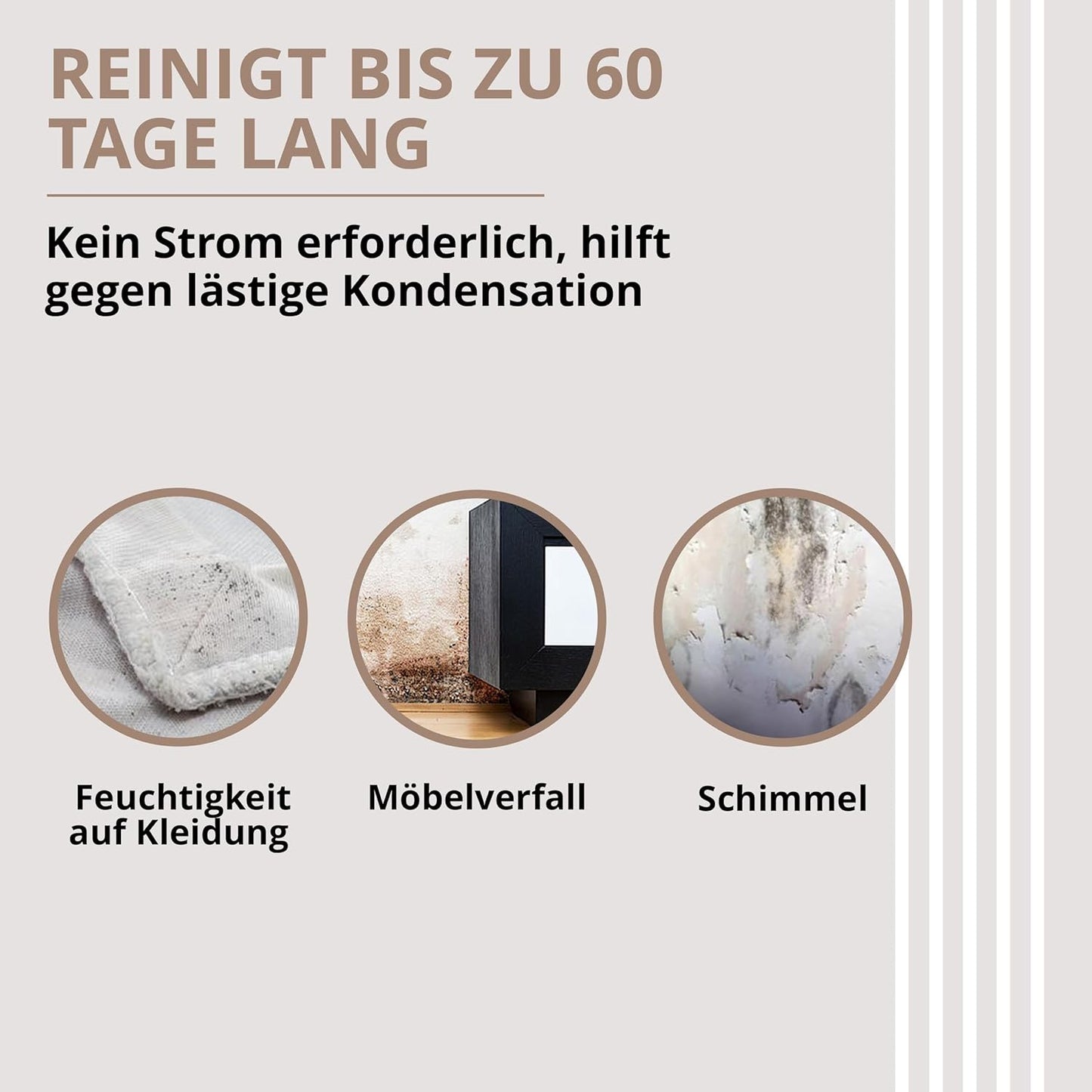 Luftentfeuchter mit Aromabeutel (6 x 500 ml), Beutel mit Haken 6 Pack mit 500 ml