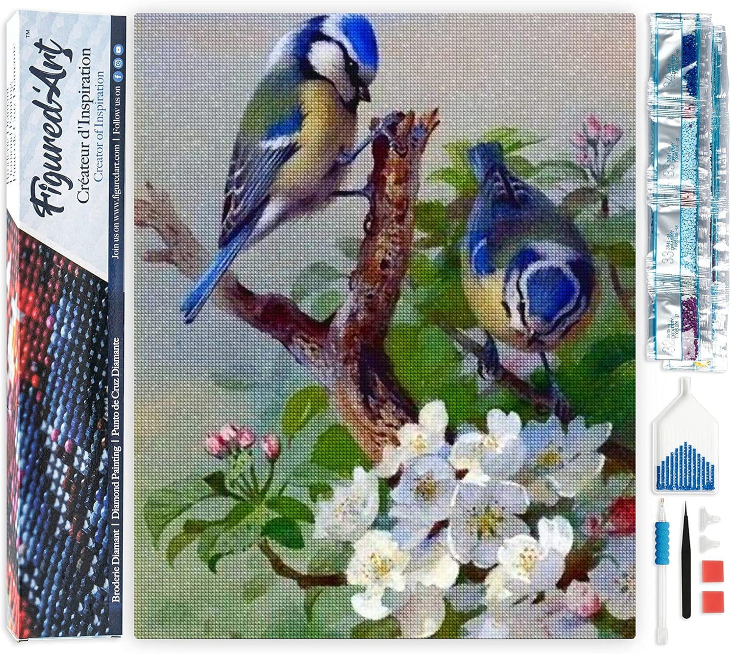 Diamond Painting, 40 x 50 cm, Blaumeise auf Ast 40x50cm (Ohne Rahmen)