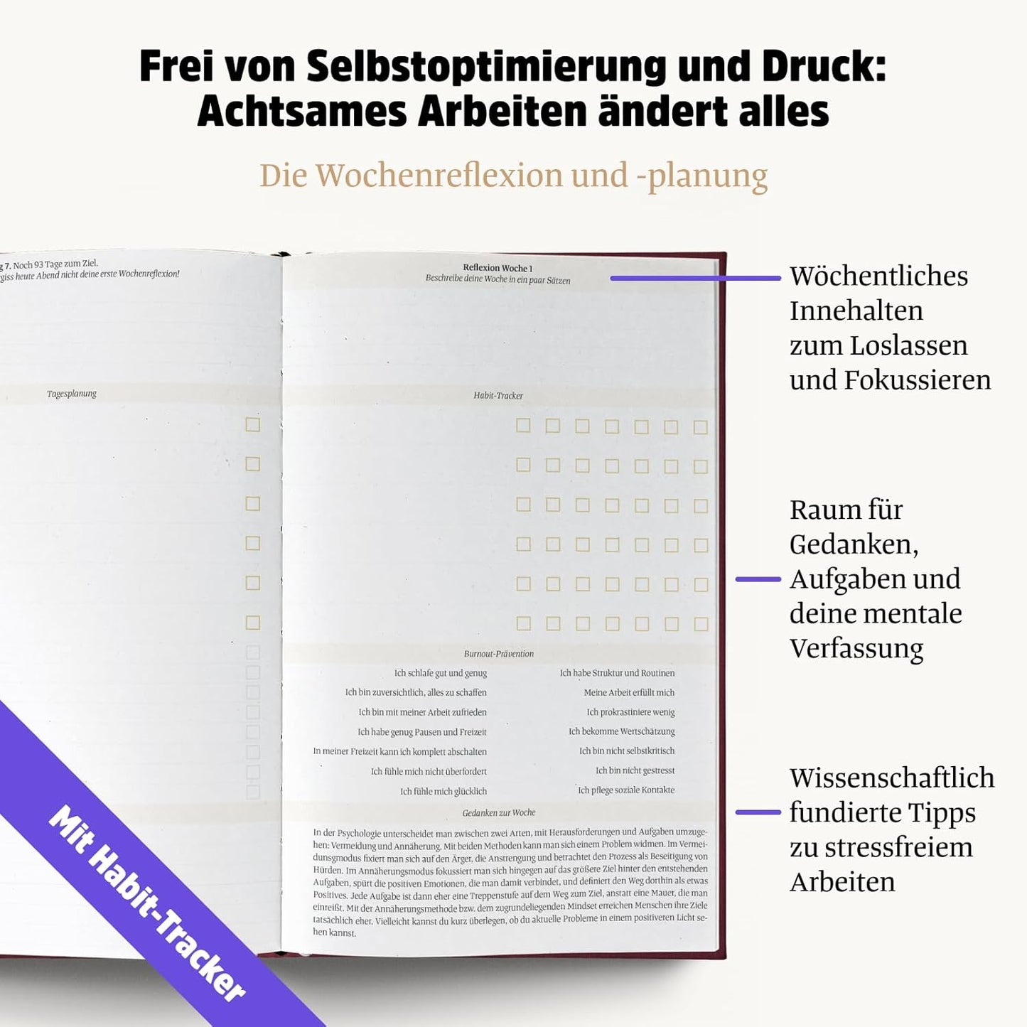 Ein gutes Projekt, Rubin
