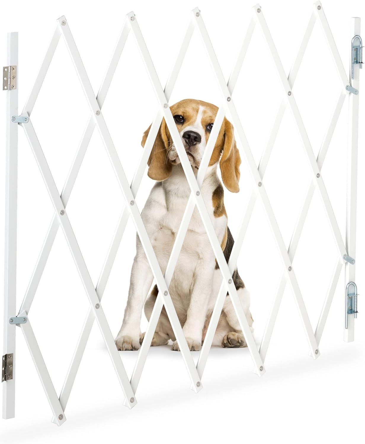 Hundeabsperrgitter, L