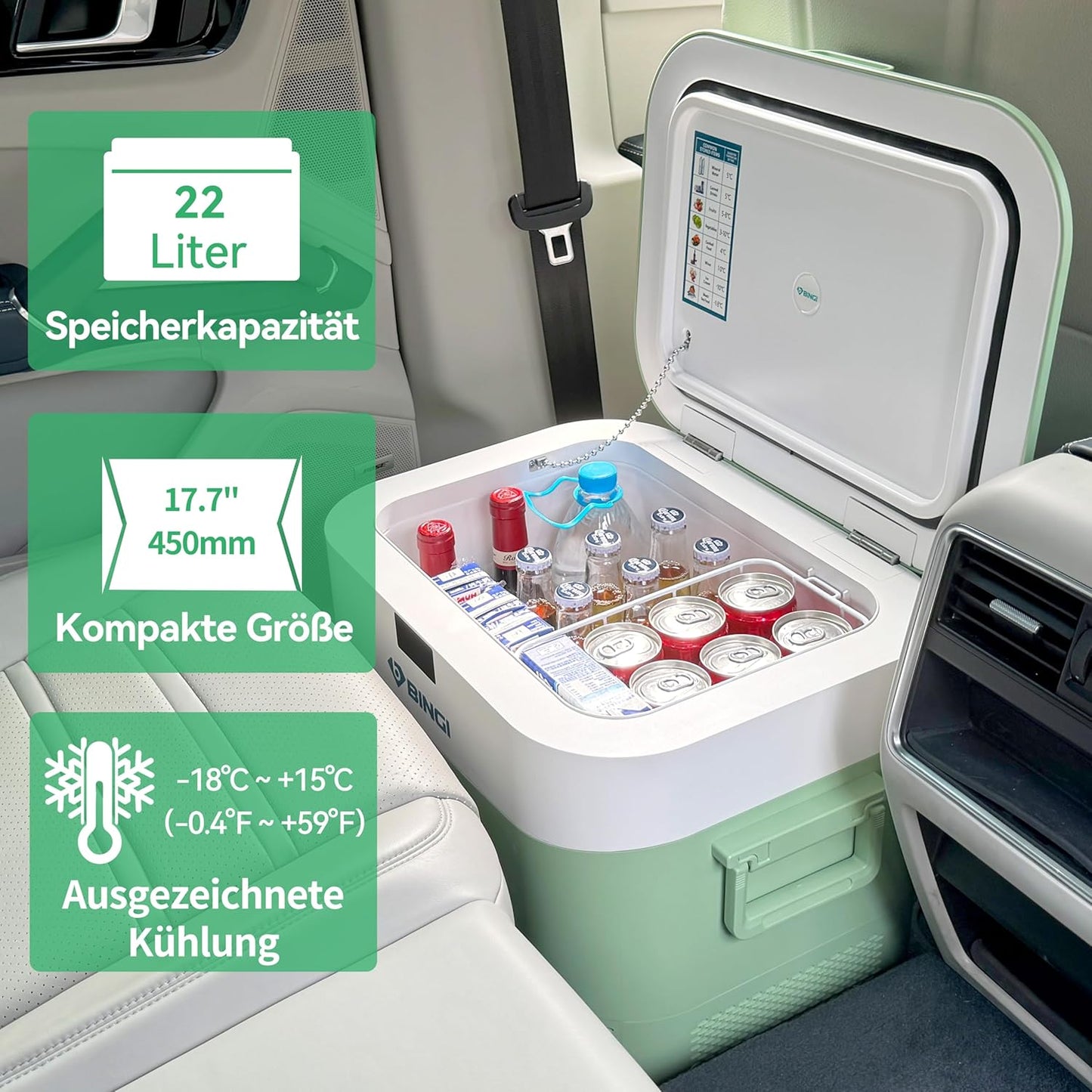 Tragbare Kühlbox für Auto & Camping, 22 Liter Grün