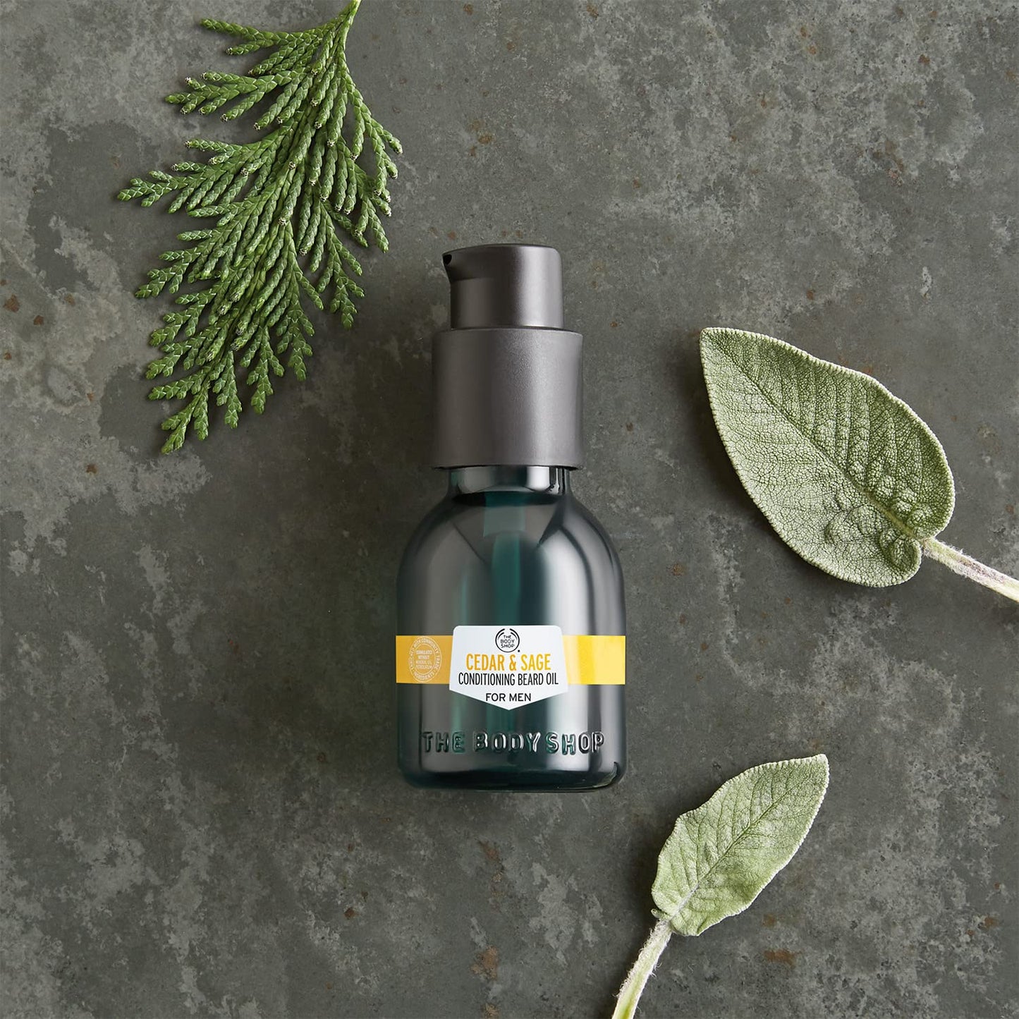 Cedar & Sage Conditioning Beard Oil