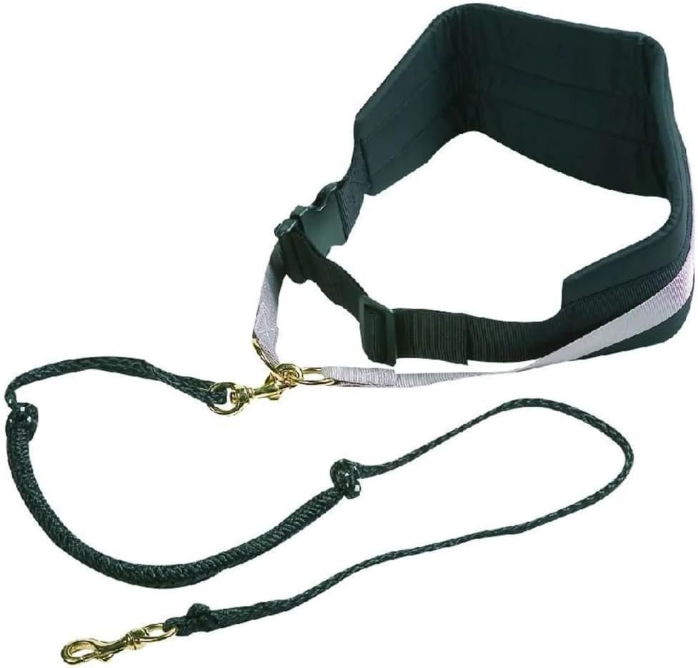 CaniCross Joggingleine mit Hüftgurt, 125 cm, verstellbar, Schwarz