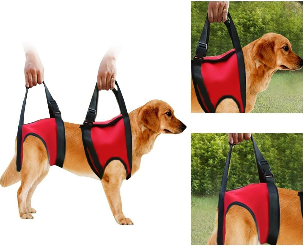 Hunde Tragehilfe für Hinterbeine (Rehabilitation), S Rot - Hinteres Bein