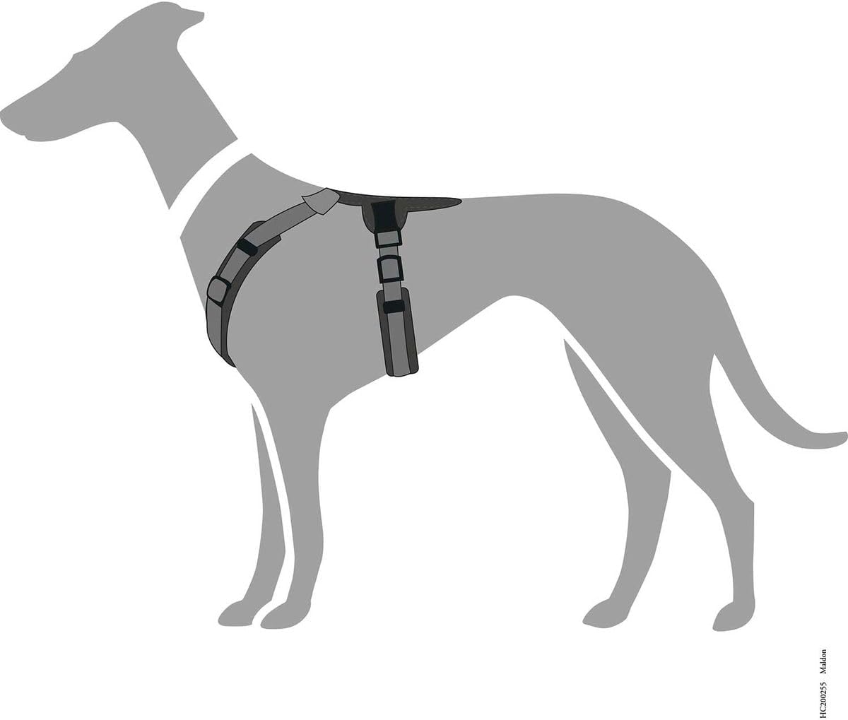 Verstellbares Hundegeschirr Maldon, schwarz / grau xs