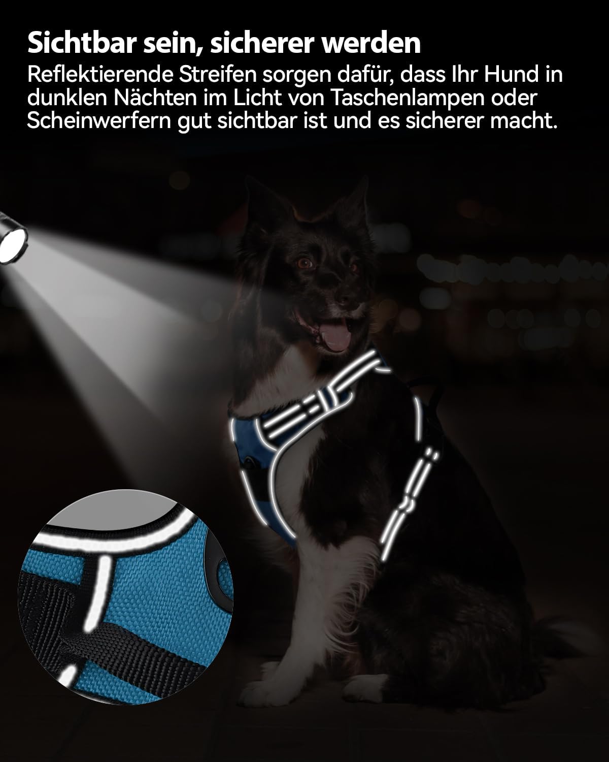 Reflektierendes Hundegeschirr, M (1er Pack) Blau