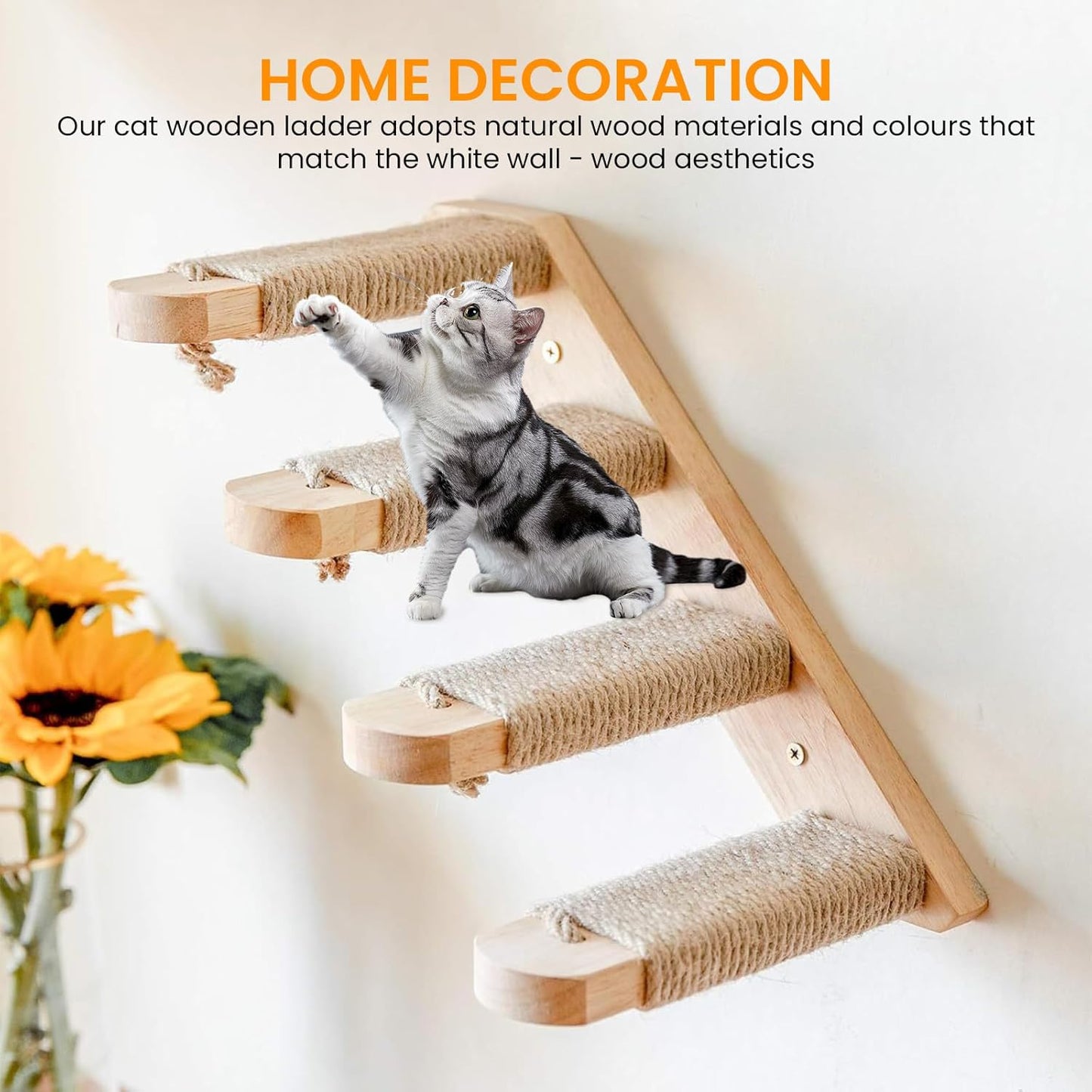 Kletterwand & Leiter für Katzen