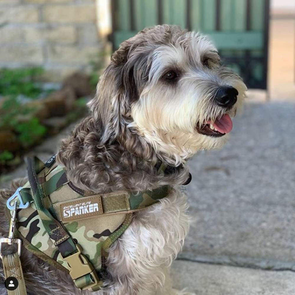 Taktisches Hundegeschirr für Training und Service, S / Camouflage