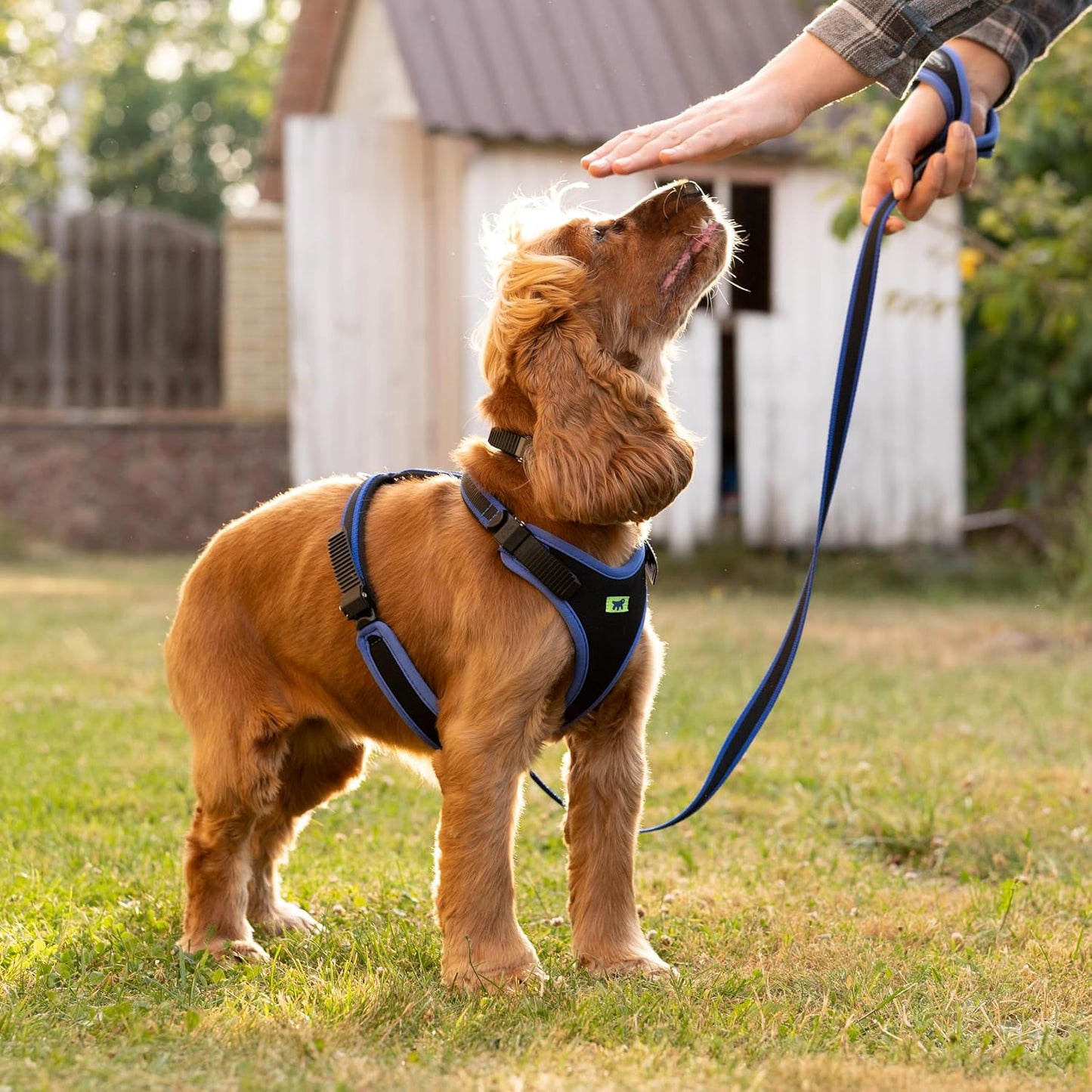 Verstellbares Ergocomfort Hundegeschirr, Halsumfang: 37-47 cm/ Brustumfang: 55-65 cm, blau