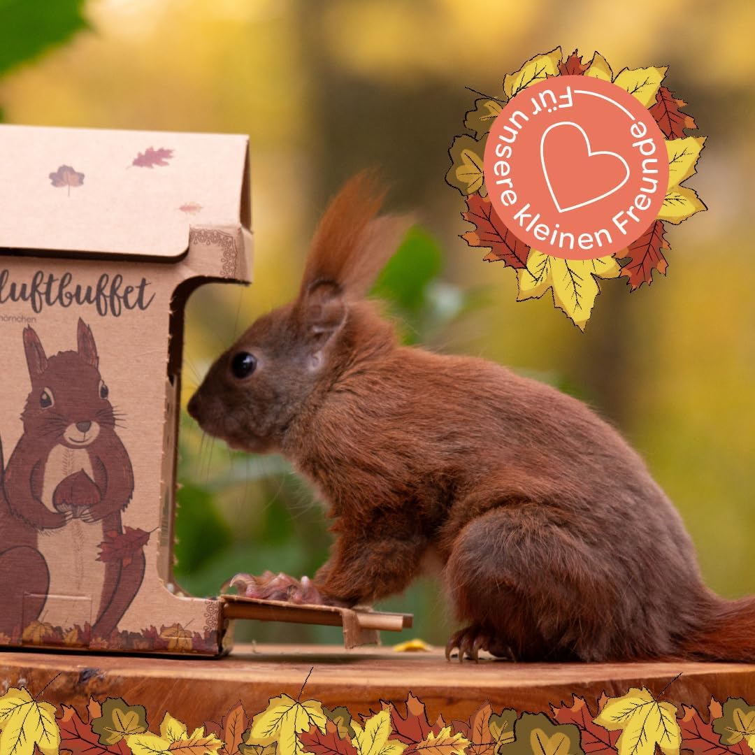 6-teiliges Tierfutter Geschenkset mit Futterhäuschen für Vögel, Igel und Eichhörnchen