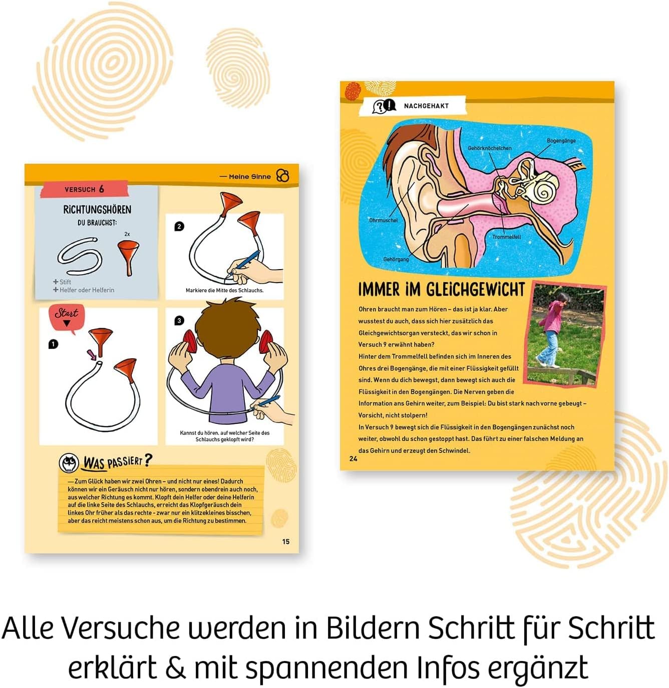 Mein erster Experimentierkasten- Körper & Sinne, Körper & Sinne