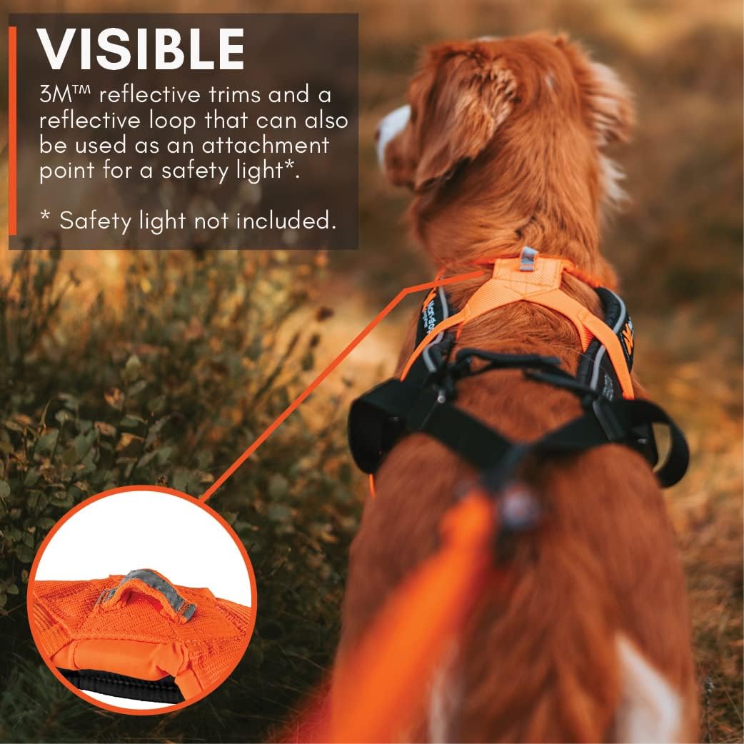 Freemotion Harness 5.0 Hundezuggeschirr, 6 schwarz/orange