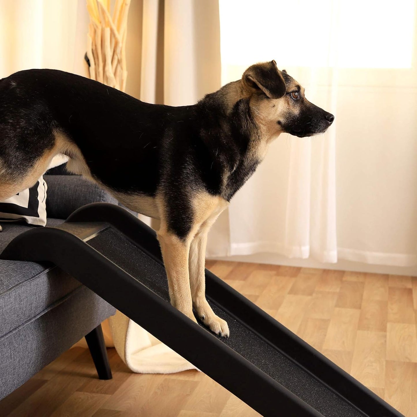 Autorampe für Hunde, 100x38 cm