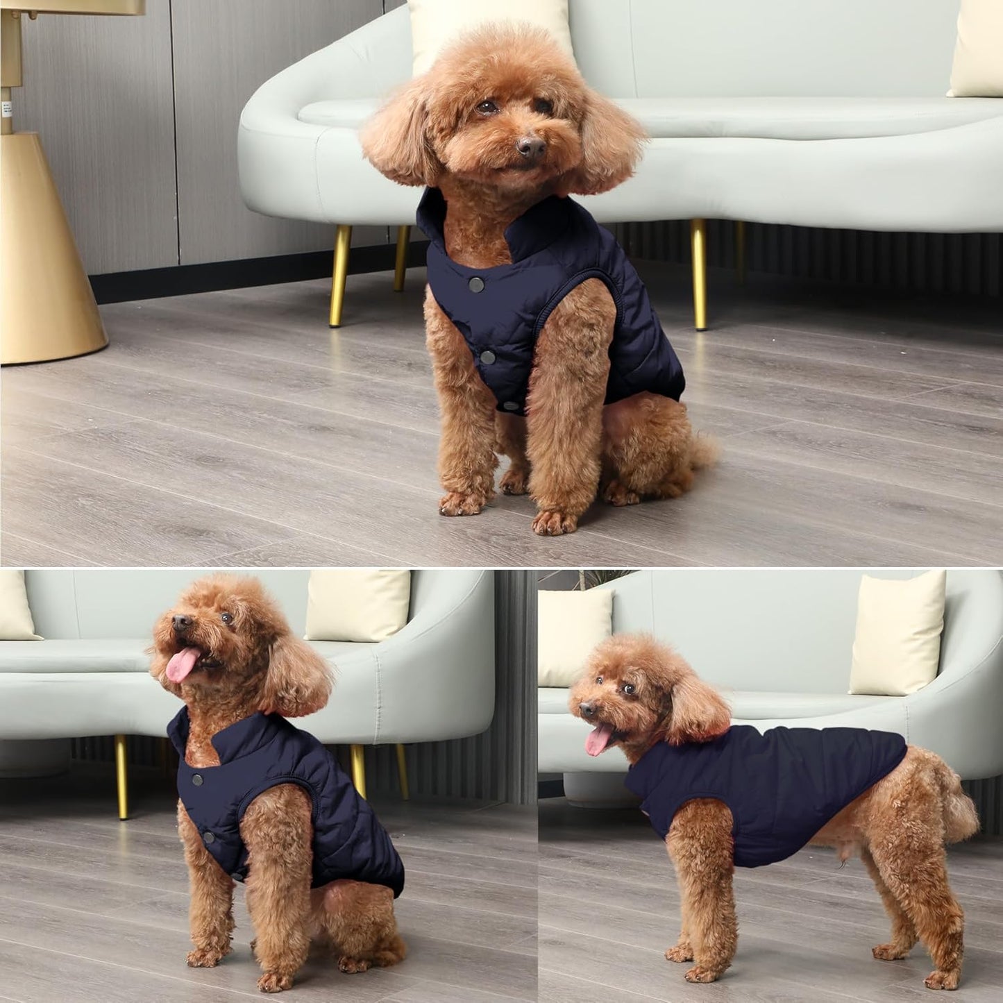 Hundejacke für Winter, 2-lagiges Fleece, Winddicht, X-Small (Pack of 1) Blau