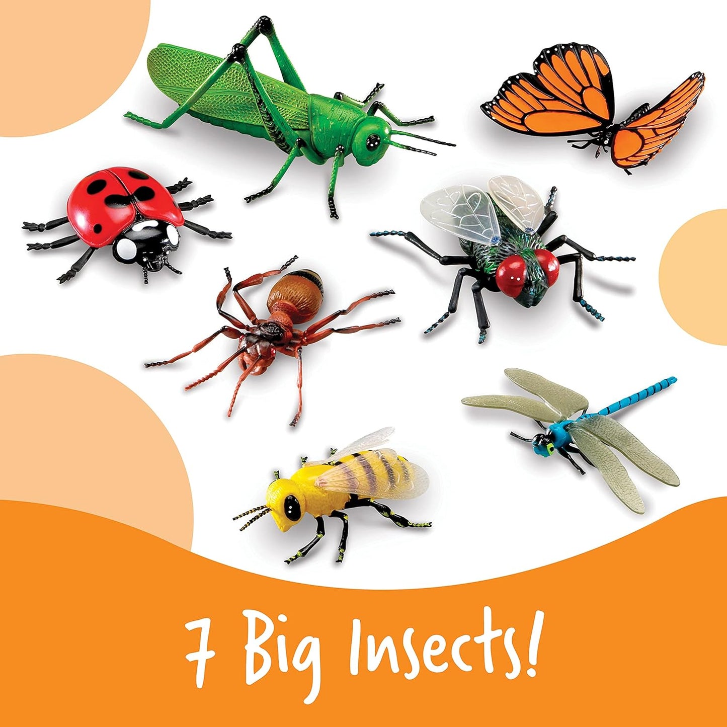 Grosse Insekten Lernspielzeug-Set