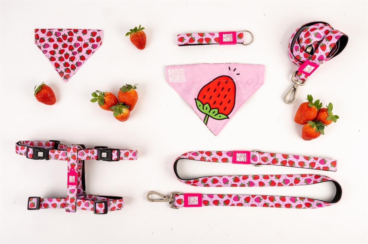 Neopren Hundegeschirr, XS Strawberry Dream