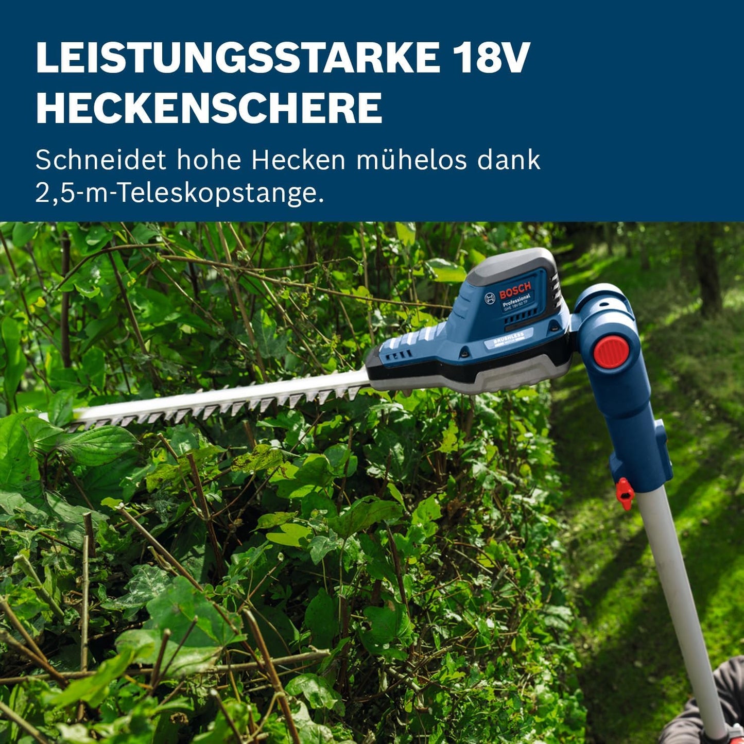 Teleskop-Heckenschere GHE 18V-50 TP
