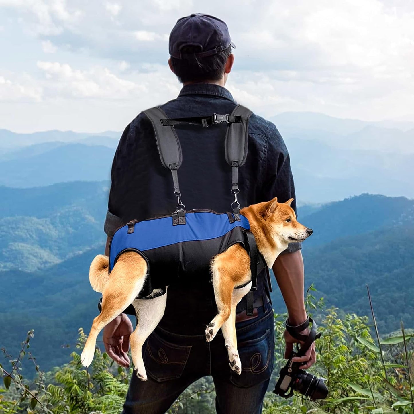 Hundegeschirr-Rucksack, L Schwarz+Blau