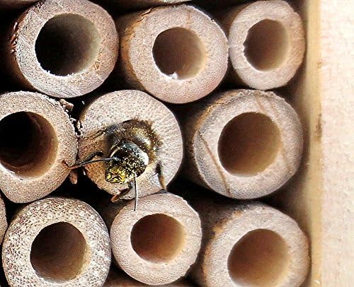 4er Insektenhotel Bastelset
