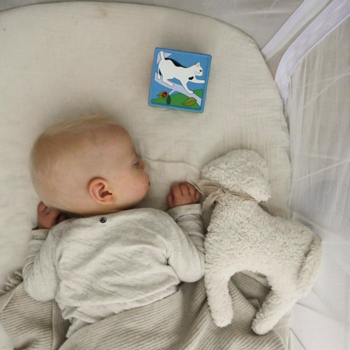 Geschichtenerzähler-Box für Babys (50 Lieder & Spiele)