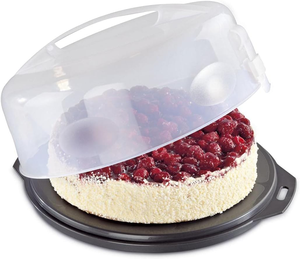 Kuchenbox, Kuchen Trabsportbox