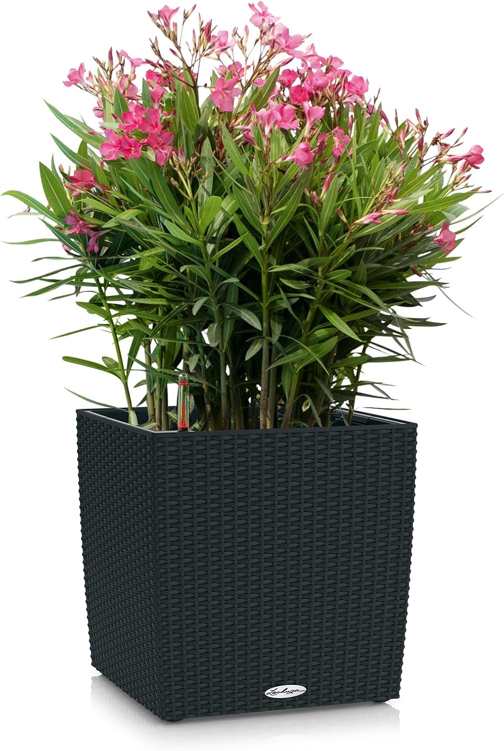 Cube Cottage 30, Pflanzgefäss mit Erd-Bewässerungs-System 29.5 x 29.5 x 30 cm Graphitschwarz