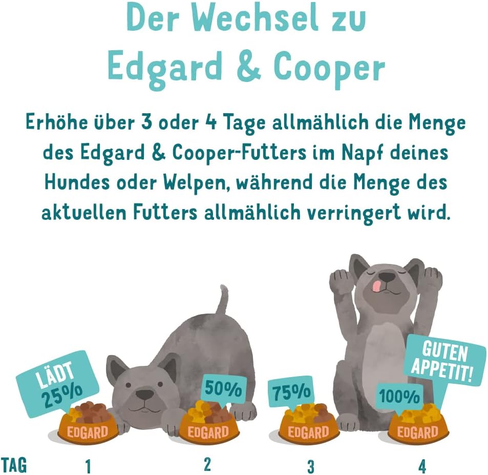 Hundefutter nass, Lachs ASC/Truthahn