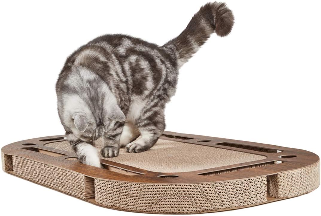XXL interaktives Katzenspielplatz mit Kratzpappe