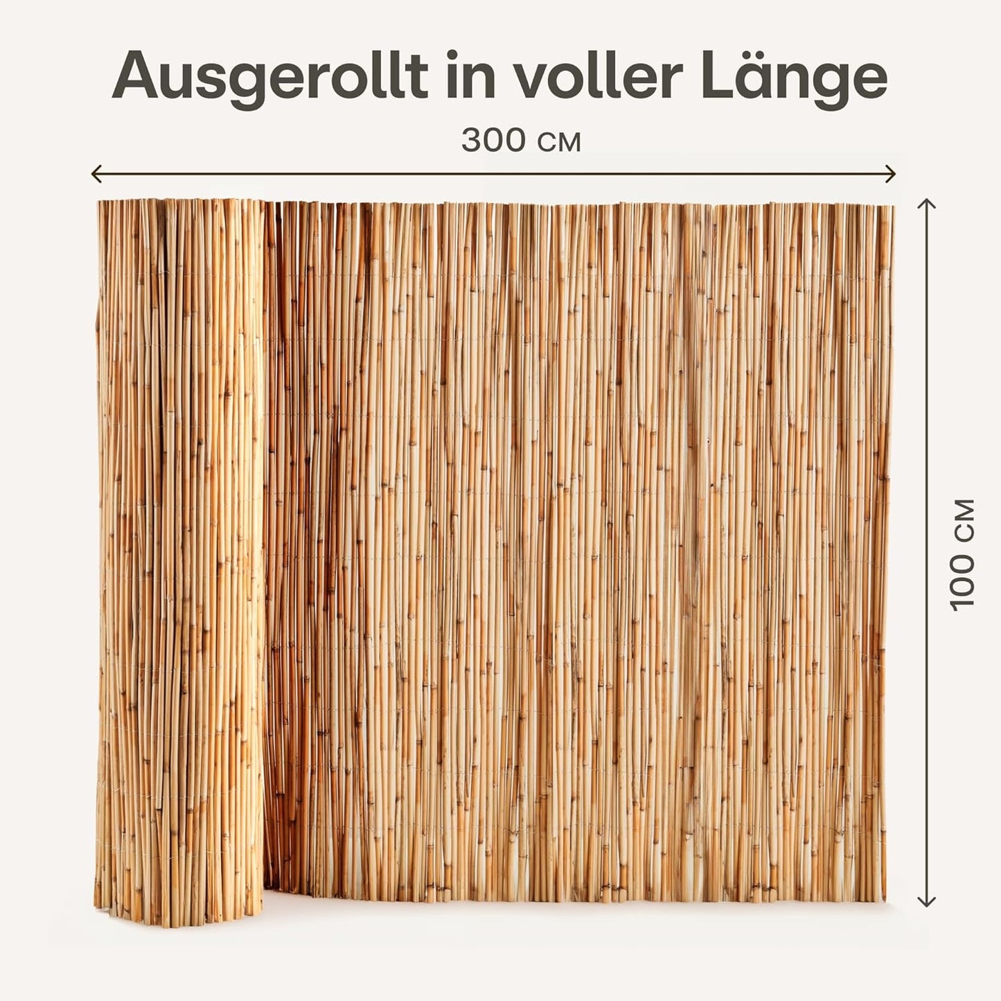 Schilfrohr Sichtschutzzaun für Balkon & Garten