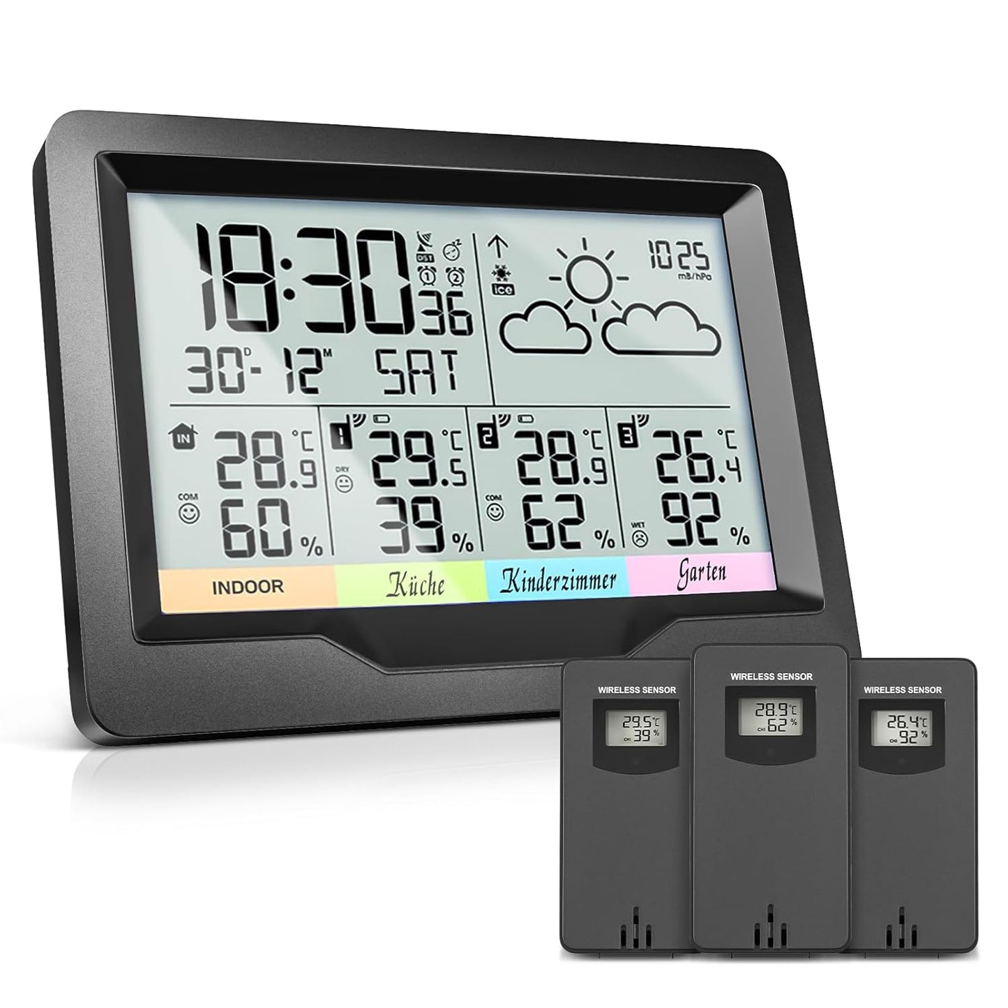 Funk-Wetterstation, Schwarz-Weiss-Bildschirm