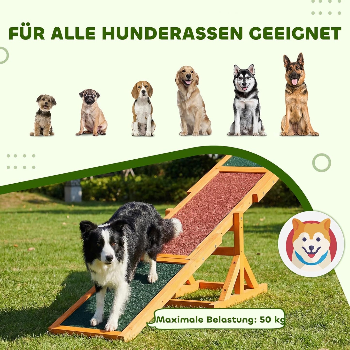 Hundewippe für Einsteiger, Naturholz