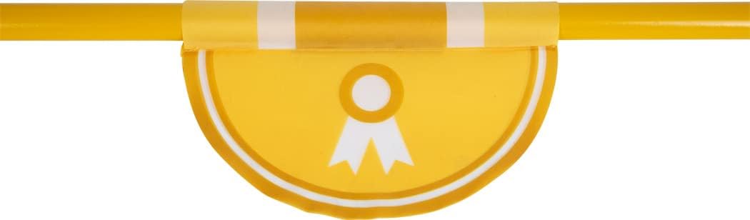 Hindernis-Set für Kinder Pferde-Spiel & Hobby Horsing, Hindernis-Set