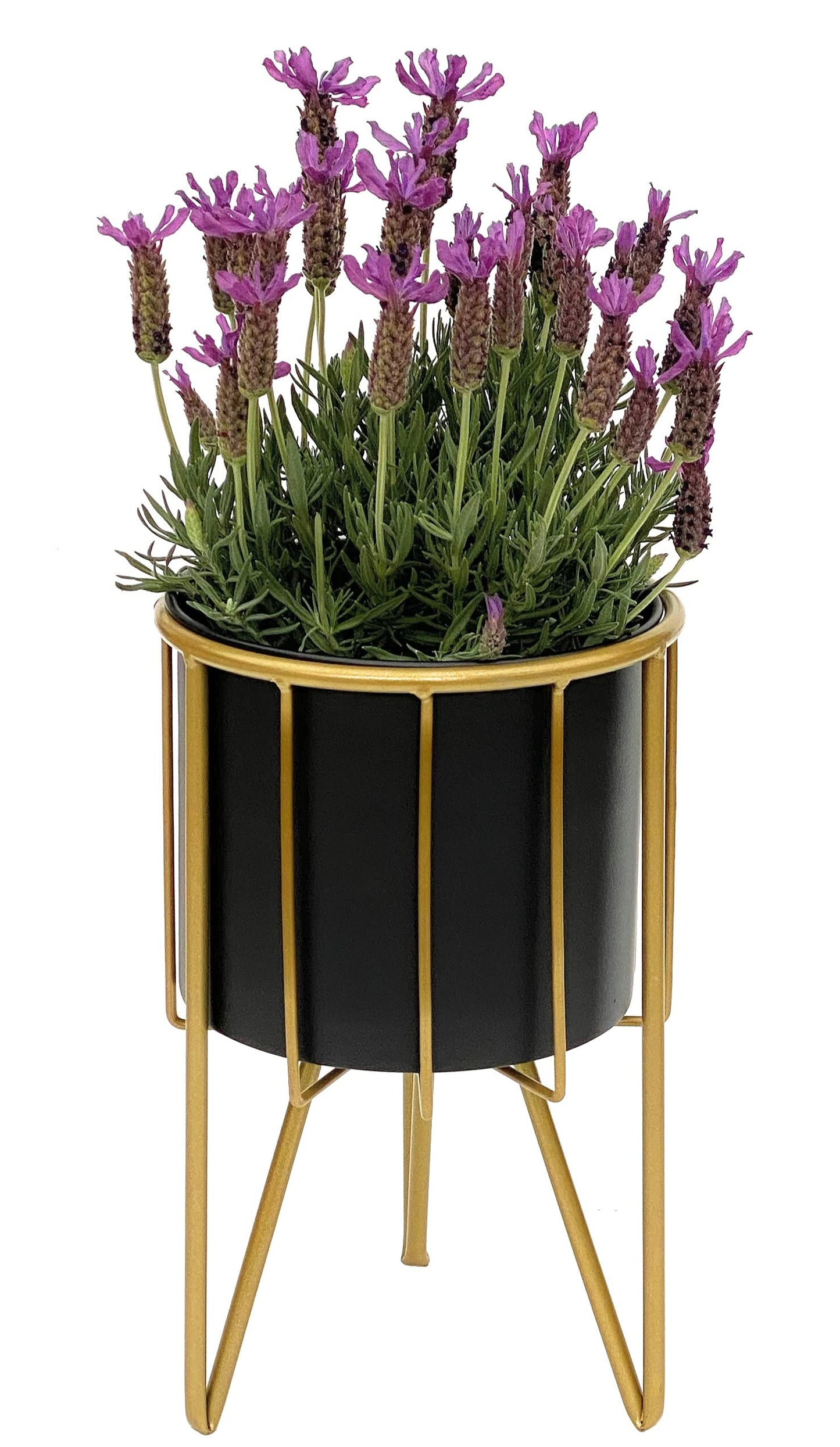 Blumenhocker mit Topf Rund 96039 S