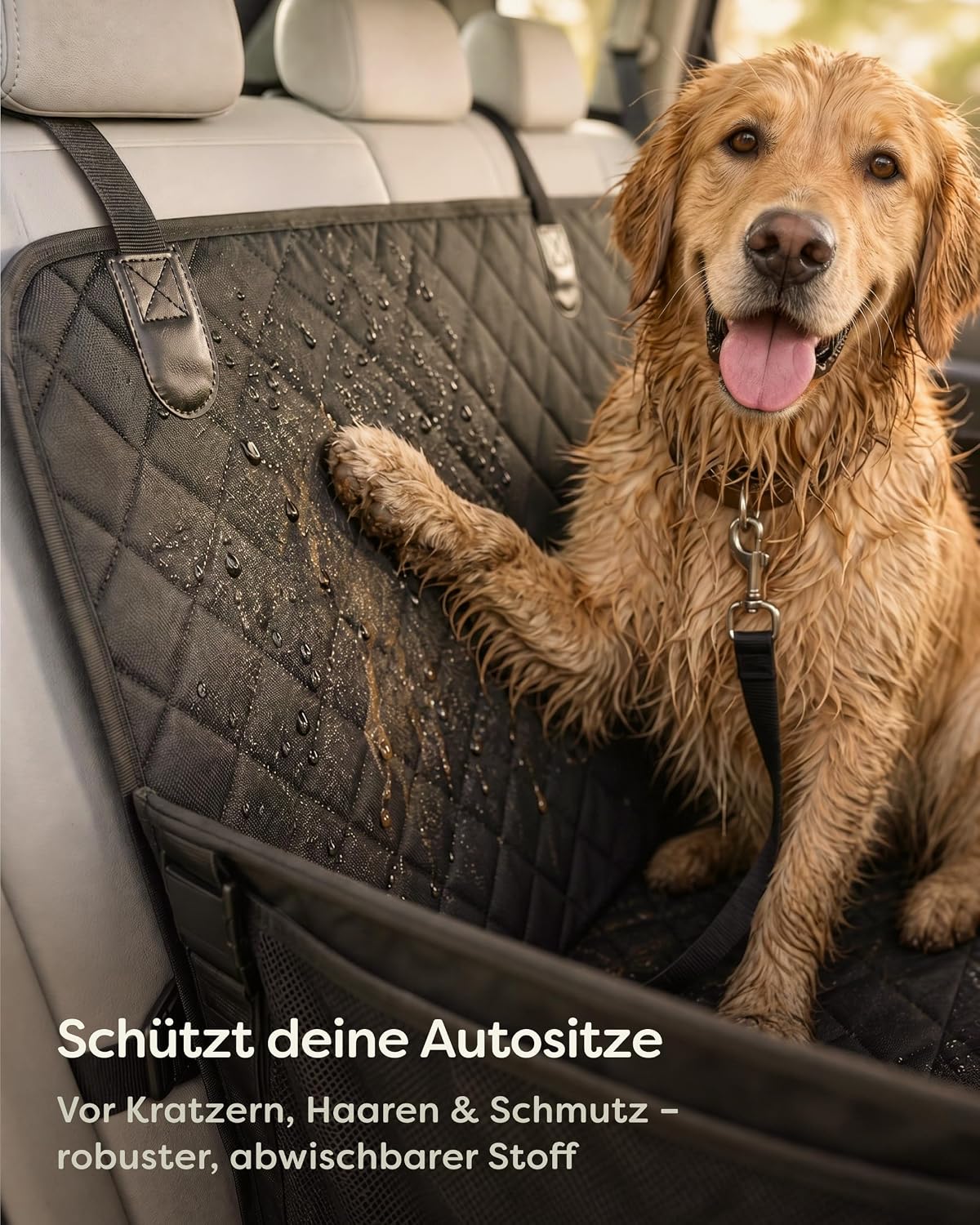 Extra Stabiler Hundeautositz für Rückbank