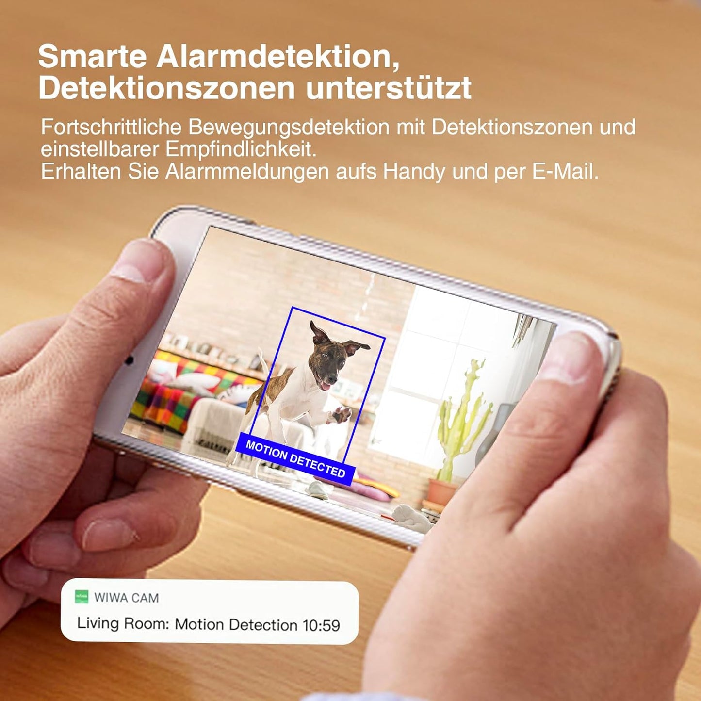 Überwachungskamera mit Bewegungserkennung