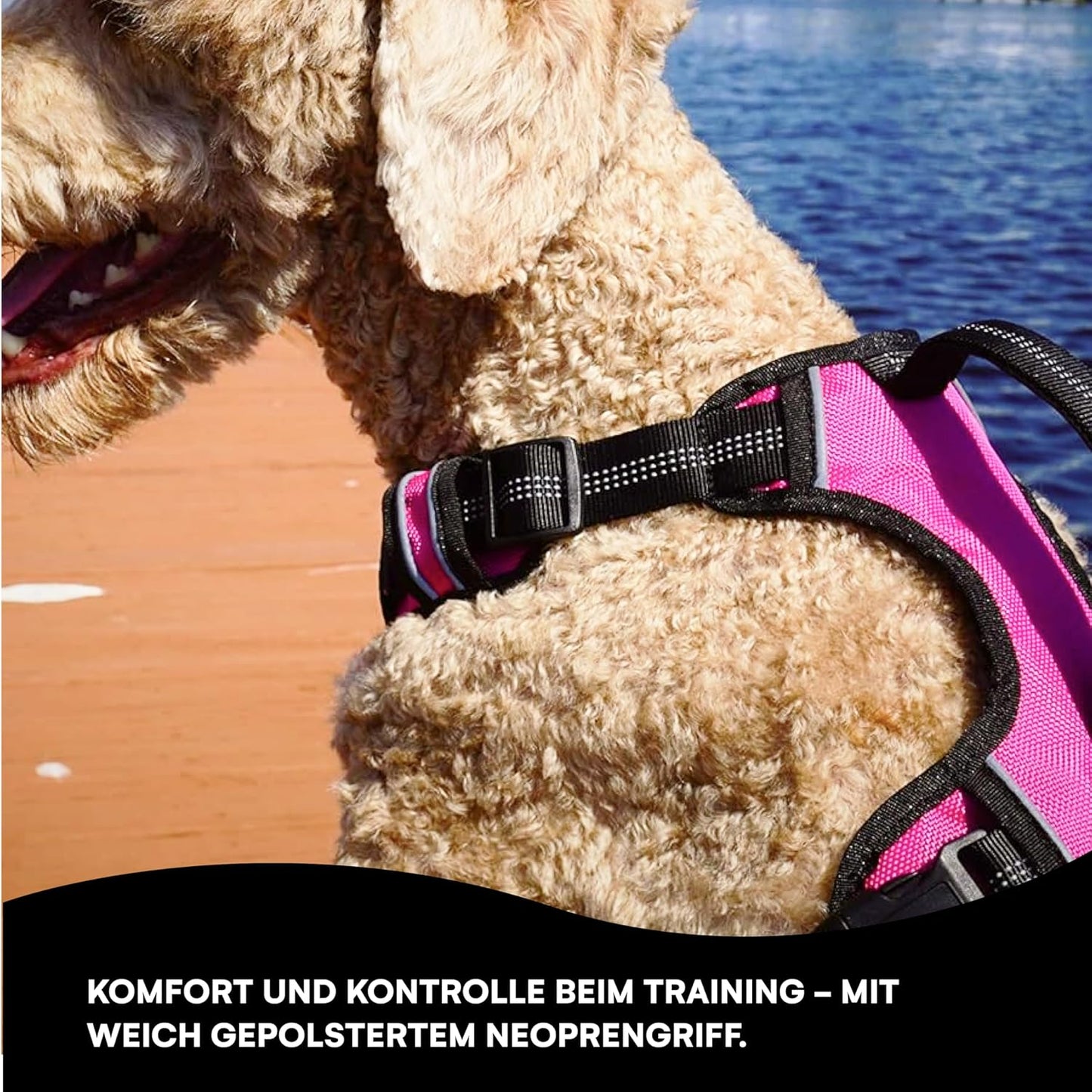Komfort-Hundegeschirr mit Netzpolsterung, verstellbar, rosa / bl klein