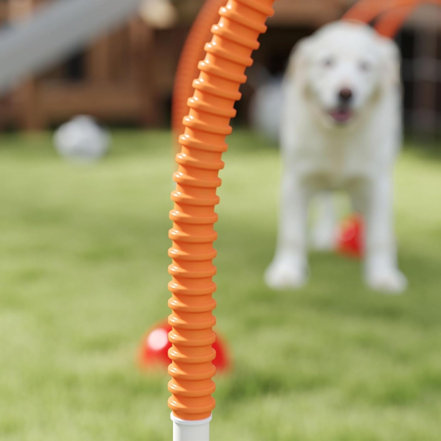 Agility Set, Orange+Gelb