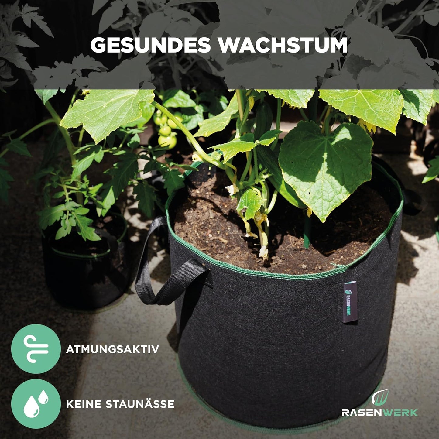 5er-Set Pflanztaschen, 60L, 60 Liter
