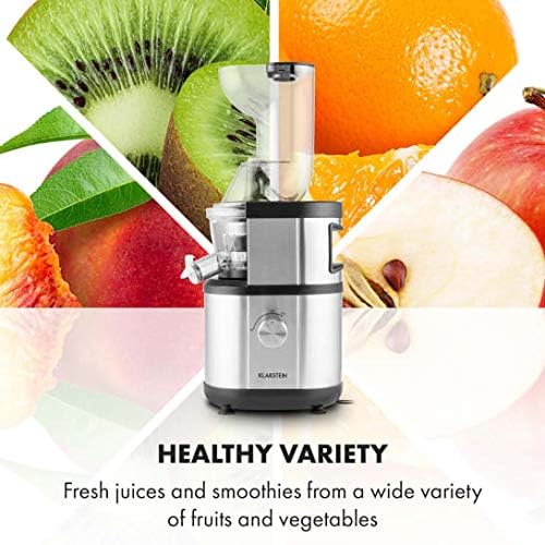 Fruitberry Slow Juicer