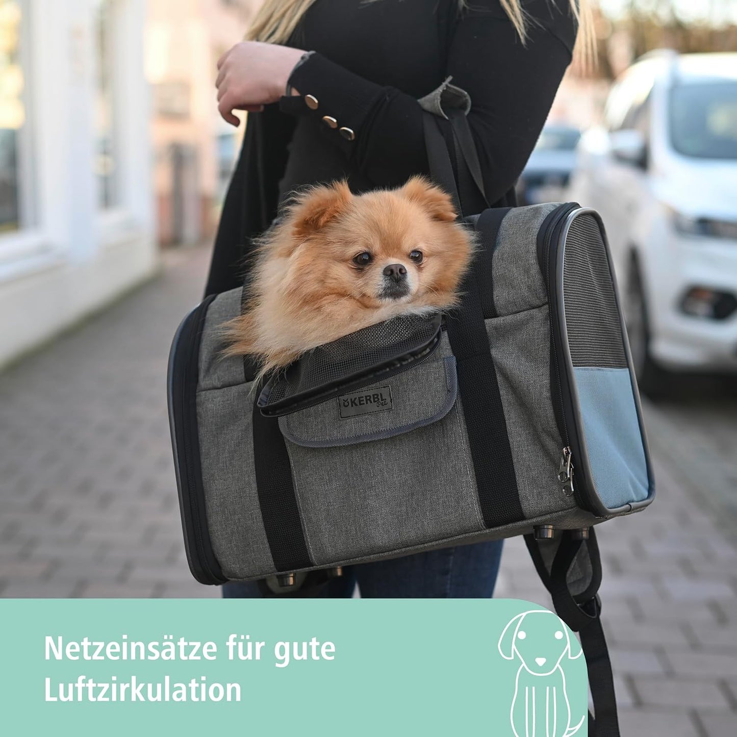 Hunderucksack Vacation